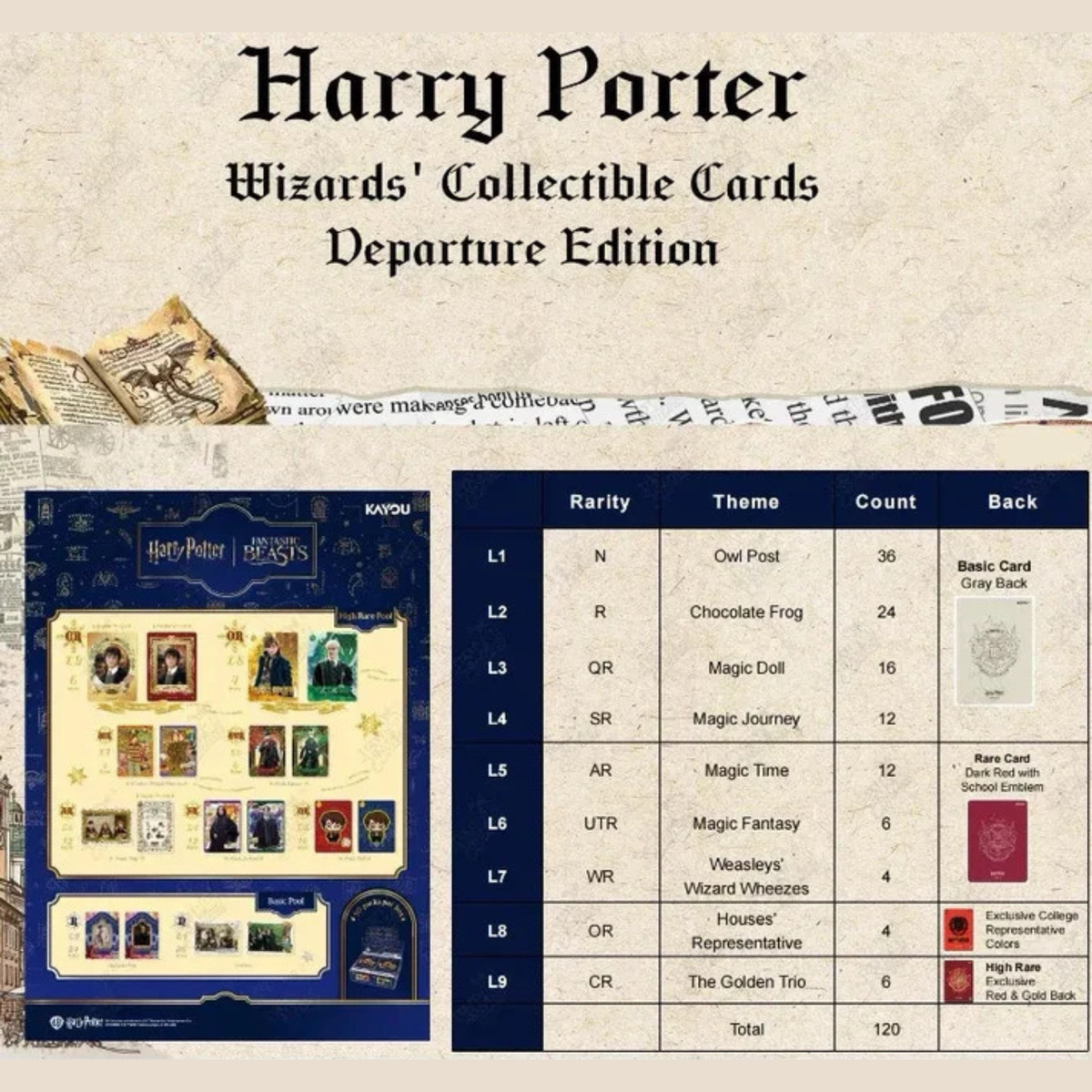 Display Harry Potter Fantastic Beasts Kayou